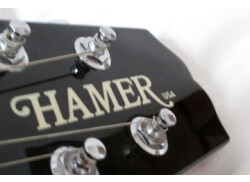 Hamer Sudio Custom