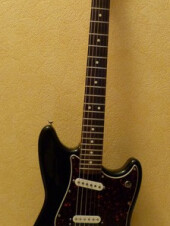 Fender Cyclone