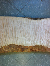 Quilted Maple Presentation