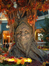 Autumn Tree, Bellagio Gardens, Las Vegas