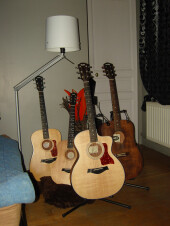 mes guitare taylor
