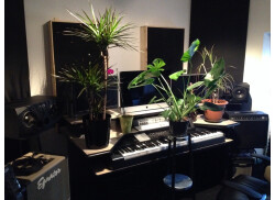 Studio fleuri juillet 2014