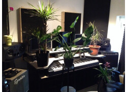 Studio fleuri 2 juillet 2014