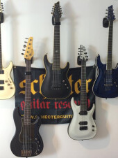 Collec' made in Schecter ! (2014)
