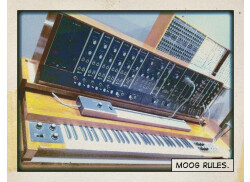 Moog Rules (RIP) !!!