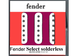 Micros Fender