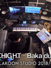 LAKOON STUDIO / T.HIGH.T - Baka dub