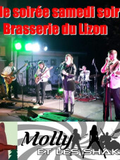 Concert avec le groupe à la Brasserie du Lizon