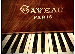 Mon Piano Crapaud Gaveau