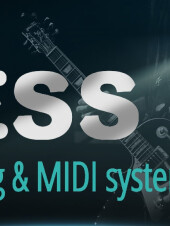 DESS, Switching & Midi System for Guitar