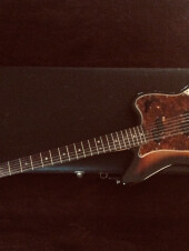 FENDER ELECTRIC XII 1966